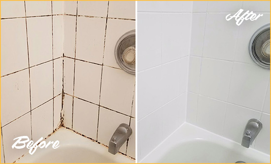 Before and After Picture of a Greenville Shower Tile and Grout Cleaned to Eliminate Mold