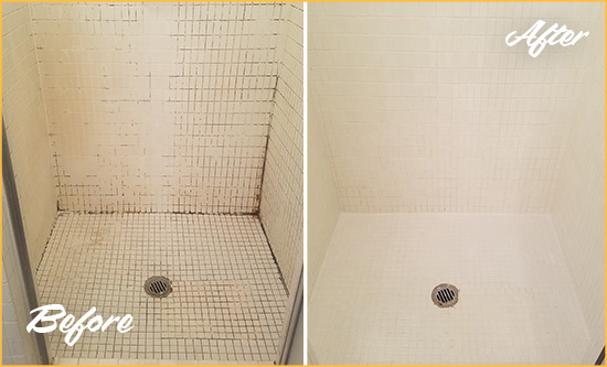 Before and After Picture of a Kirkwood Bathroom Grout Sealed to Remove Mold