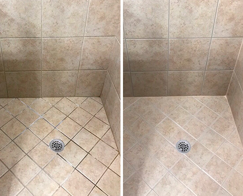 Image Showcasing the Before and After of a Master Shower After a Tile Cleaning in Hockessin, DE