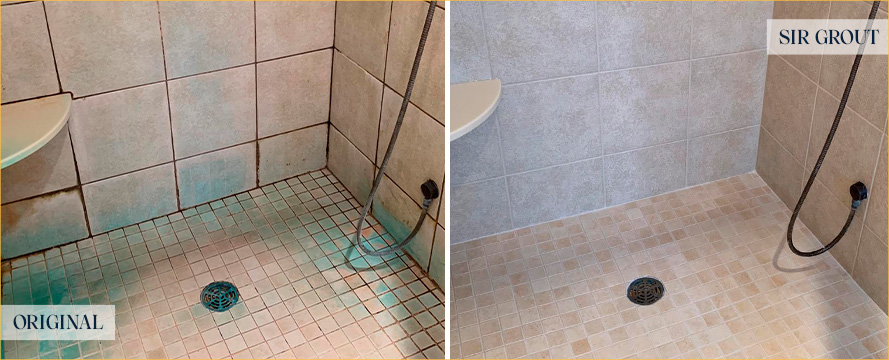 Tile Shower Before and After a Grout Recoloring in Wilmington, DE
