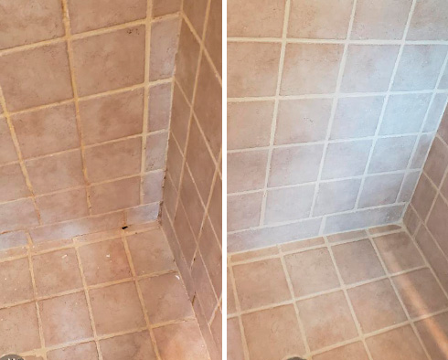 Tile Shower Before and After a Grout Sealing in Camden