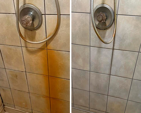 Close-Up of Shower Wall Before and After a Service from Our Tile and Grout Cleaners in Newark