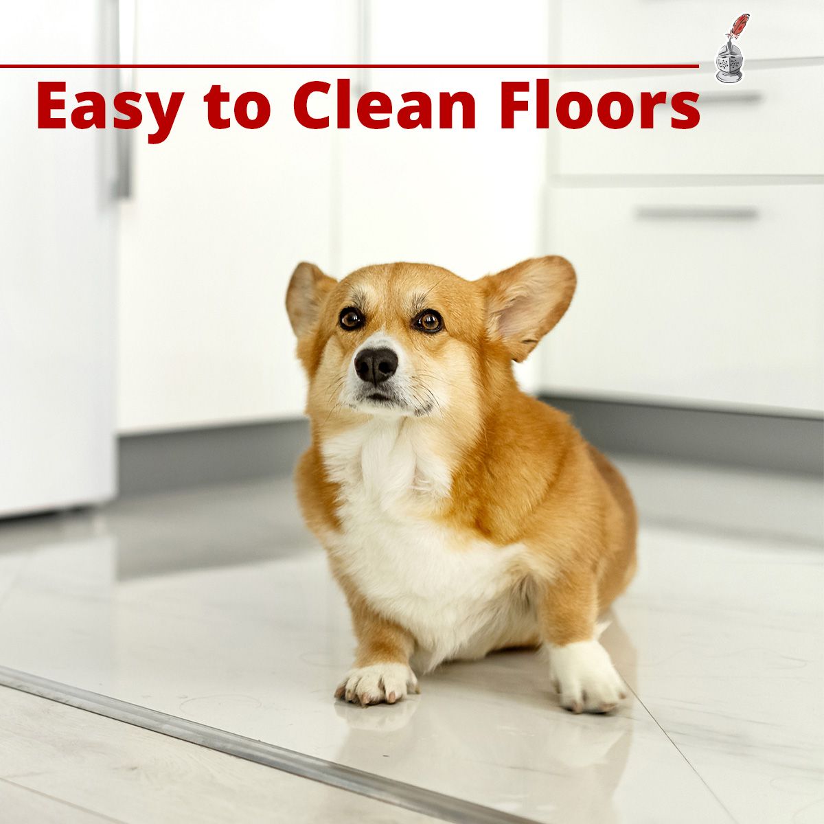Easy to Clean Floors