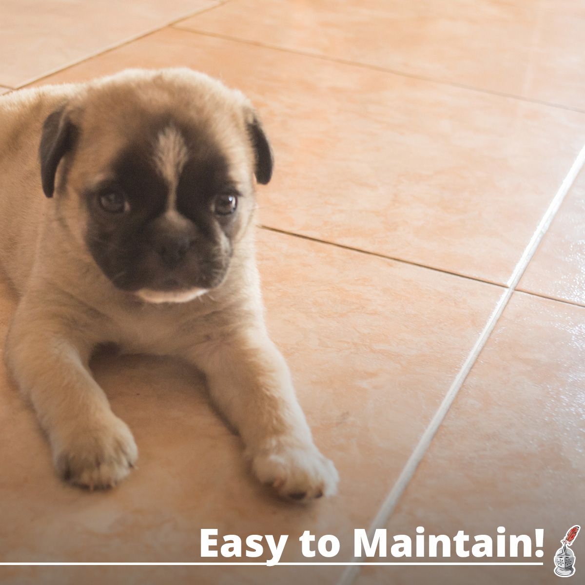 Easy to Maintain!